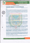 Vista preliminar de documento RESOLUCION GERENCIAL N° 41-2024