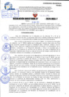 Vista preliminar de documento R.D 1595-2024