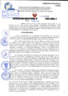 Vista preliminar de documento R.D 1593-2024