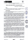 Vista preliminar de documento rd206-2024