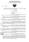 Vista preliminar de documento RDR 5376-2024