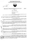 Vista preliminar de documento RDR 5381-2024