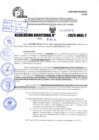 Vista preliminar de documento R.D 1572-2024