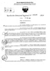 Vista preliminar de documento RDR 5386-2024