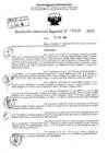 Vista preliminar de documento RDR 5635-2024