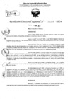 Vista preliminar de documento RDR 5388-2024