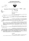 Vista preliminar de documento RDR 5646-2024