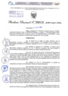 Vista preliminar de documento Resolución Directoral. N° 2110 - 2024 