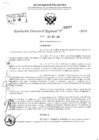 Vista preliminar de documento RDR 4059-2024