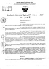 Vista preliminar de documento RDR 5659-2024