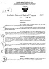 Vista preliminar de documento RDR 5406-2024