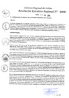 Vista preliminar de documento Resolución Ejecutiva Regional N° 087-2024