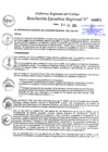 Vista preliminar de documento Resolución Ejecutiva Regional N° 071-2024