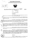 Vista preliminar de documento RDR 5407-2024