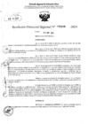 Vista preliminar de documento RDR 5408-2024
