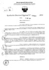Vista preliminar de documento RDR 5410-2024