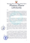 Vista preliminar de documento Resolución Rectoral