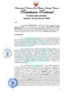 Vista preliminar de documento Resolución Rectoral