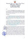 Vista preliminar de documento Resolución Rectoral