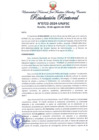 Vista preliminar de documento Resolución Rectoral