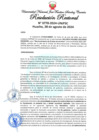 Vista preliminar de documento Resolución Rectoral