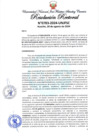 Vista preliminar de documento Resolución Rectoral