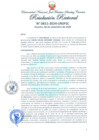 Vista preliminar de documento Resolución Rectoral