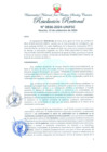 Vista preliminar de documento Resolución Rectoral