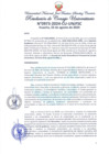 Vista preliminar de documento Resolución de Consejo Universitario