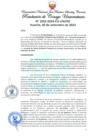 Vista preliminar de documento Resolución de Consejo Universitario