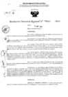 Vista preliminar de documento RDR 5411-2024