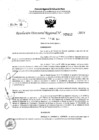 Vista preliminar de documento RDR 5412-2024