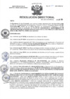 Vista preliminar de documento R.D N° 274-2024-HMA-DG