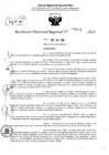 Vista preliminar de documento RDR 5675-2024