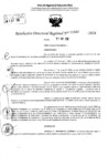 Vista preliminar de documento RDR 5680-2024