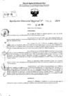 Vista preliminar de documento RDR 5683-2024