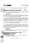 Vista preliminar de documento RDR 5001-2024