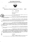 Vista preliminar de documento RDR 5004-2024