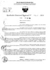 Vista preliminar de documento RDR 5688-2024