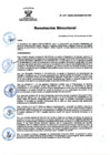Vista preliminar de documento RD Nº 217-2024-DGINSM-HD-HN