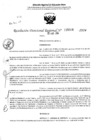Vista preliminar de documento RDR 5006-2024