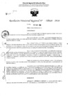 Vista preliminar de documento RDR 5009-2024