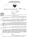 Vista preliminar de documento RDR 5011-2024