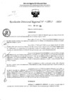 Vista preliminar de documento RDR 5017-2024