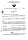 Vista preliminar de documento RDR 5019-2024