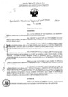 Vista preliminar de documento RDR 5020-2024