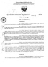 Vista preliminar de documento RDR 5022-2024