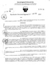 Vista preliminar de documento RDR 4252-2024