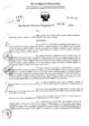 Vista preliminar de documento RDR 4256-2024