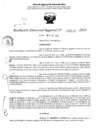 Vista preliminar de documento RDR 5025-2024